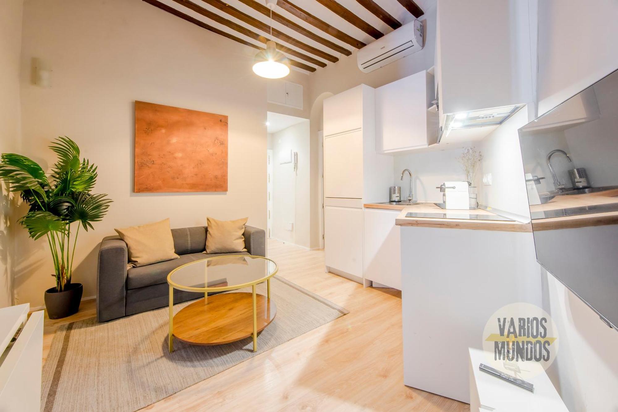 Centrico 7pax En Anton Martin-centro E2 * Madryt